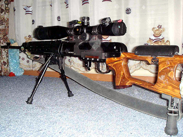 Russian Tigr